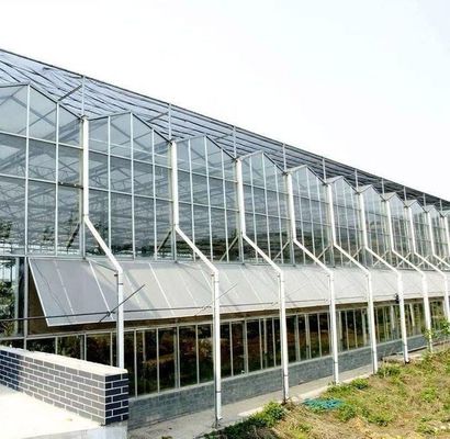 Metodo di coltivazione idroponica riscaldamento commerciale giardino serra di vetro per le piante