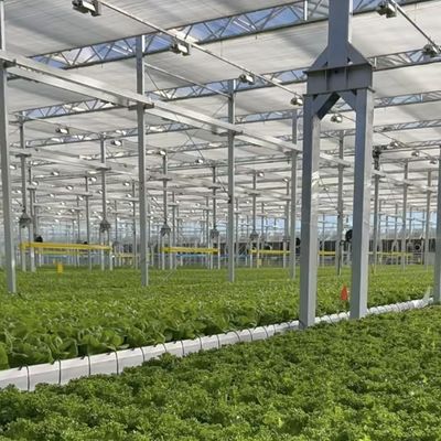 Grandi serre coperte di vetro per la coltivazione di fiori