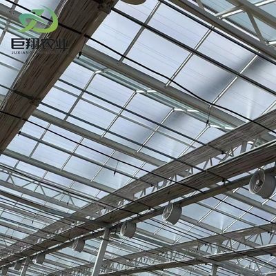 Serra in vetro JX personalizzata 2023 attrezzature agricole Juxiang con sistema di raffreddamento