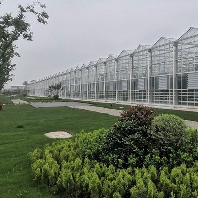 Struttura in acciaio Irrigazione a goccia Serra di vetro per piante Tetti a forma di tetto