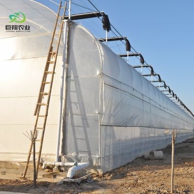 Serra di privazione luminosa automatica al 100% per il Canada / Stati Uniti