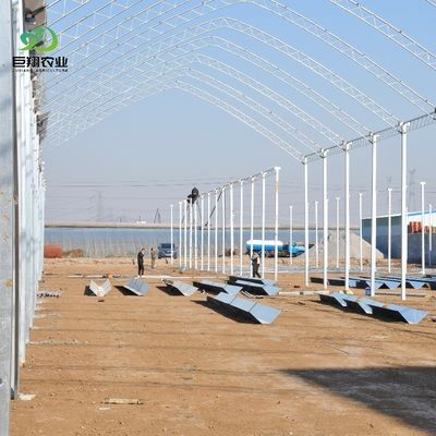 Serra di privazione luminosa automatica al 100% per il Canada / Stati Uniti