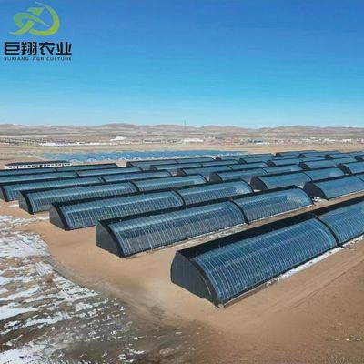 Tetti a forma di arco Tetti ad arco JX-Arch Greenhouse per la coltivazione idroponica di pomodori fragole