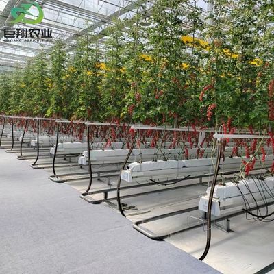 Serra da giardino in vetro a telaio di alluminio Serra commerciale vittoriana per verdure
