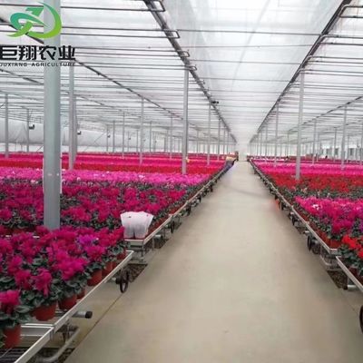 Serra da giardino in vetro a telaio di alluminio Serra commerciale vittoriana per verdure
