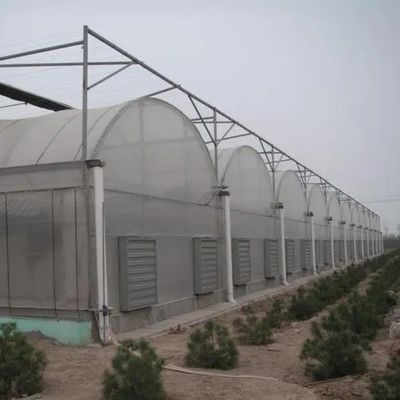 Sistema idroponico di irrigazione per fragole/fiori/verdure Serra in plastica galvanizzata in acciaio
