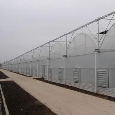 Sistema idroponico di irrigazione per fragole/fiori/verdure Serra in plastica galvanizzata in acciaio