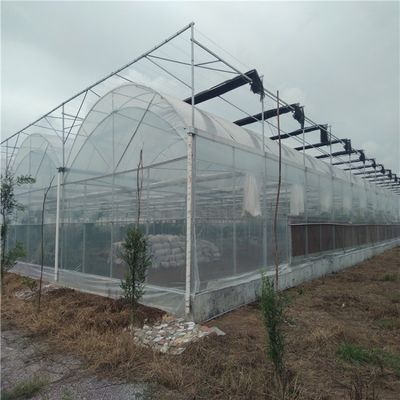 Sistema idroponico di irrigazione per fragole/fiori/verdure Serra in plastica galvanizzata in acciaio