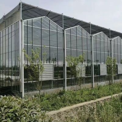 Cassa serra in vetro per la coltivazione di piante 100.000 kg Peso lordo del pacchetto