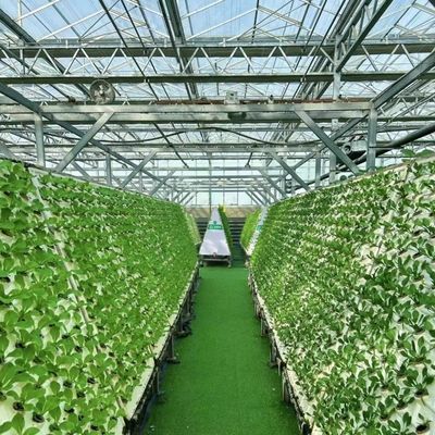 Cassa serra in vetro per la coltivazione di piante 100.000 kg Peso lordo del pacchetto