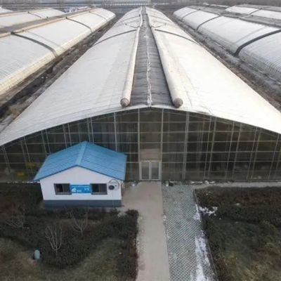 Struttura di tubi in acciaio galvanizzato a caldo per impianti idroponici e varie colture