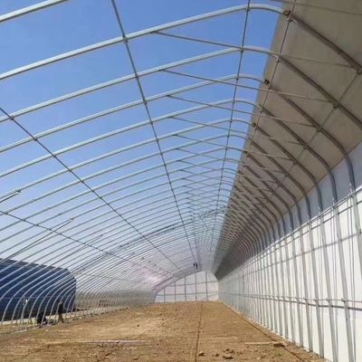 Struttura di tubi in acciaio galvanizzato a caldo per impianti idroponici e varie colture