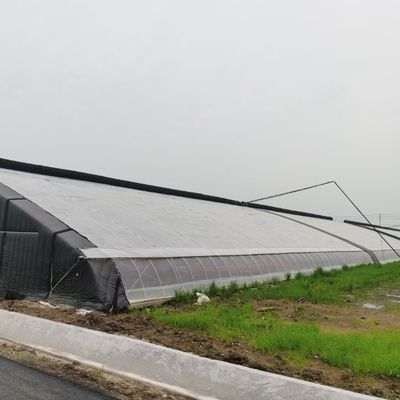 Struttura di tubi in acciaio galvanizzato a caldo per impianti idroponici e varie colture