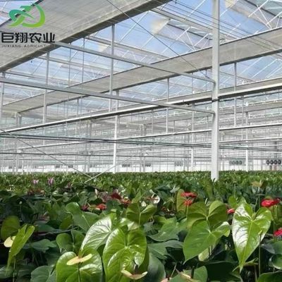 Serra solare multispan idroponica serra a pellicola di plastica per aziende agricole commerciali