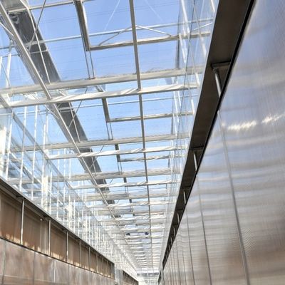 Serra solare multispan idroponica serra a pellicola di plastica per aziende agricole commerciali