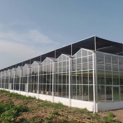Serra solare multispan idroponica serra a pellicola di plastica per aziende agricole commerciali
