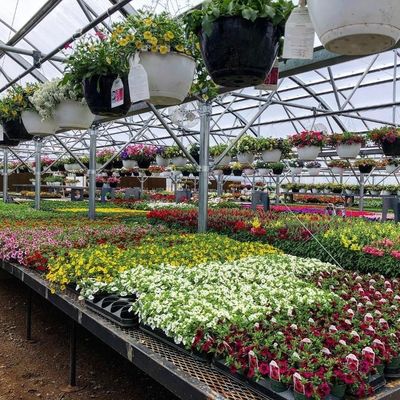 Fabbricazione di serre agricole a pellicola di plastica per agricoltura commerciale