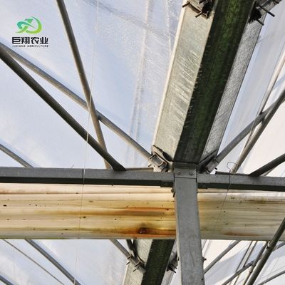 Tetti ad arco multispan idroponica pellicola di plastica serra agricola per aziende agricole