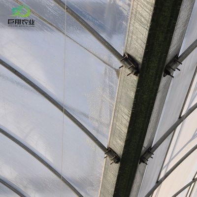 Tetti ad arco multispan idroponica pellicola di plastica serra agricola per aziende agricole
