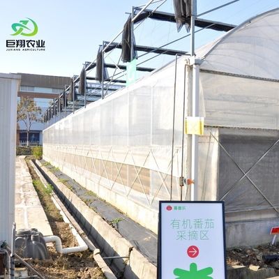 Tetti ad arco multispan idroponica pellicola di plastica serra agricola per aziende agricole