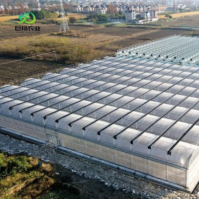 Serra con tetto in PE per ortaggi pomodori cetrioli fragole versatile e personalizzabile