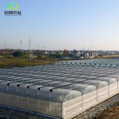 Serra con tetto in PE per ortaggi pomodori cetrioli fragole versatile e personalizzabile