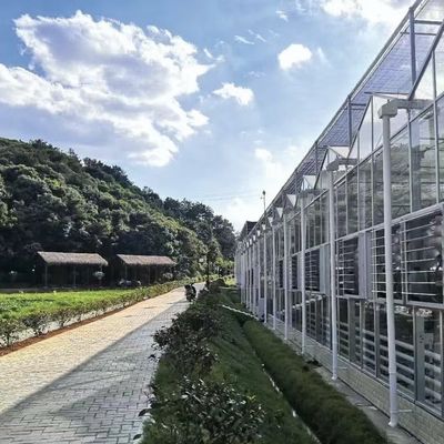 Giardino vivace con serra di vetro Costo di spedizione e serra convenienti