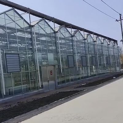 Giardino vivace con serra di vetro Costo di spedizione e serra convenienti