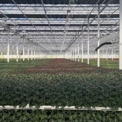 Giardino vivace con serra di vetro Costo di spedizione e serra convenienti
