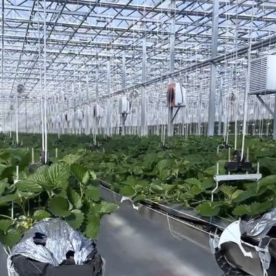 Canopy di serra a doppio strato con buona trasmissione della luce e funzione multi-spano