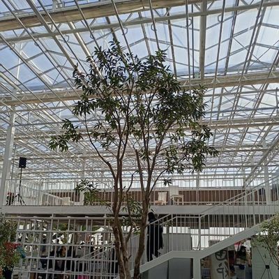 Tipo di tetto Serra in vetro con buona trasmissione luminosa per fiori a pagamento iniziale