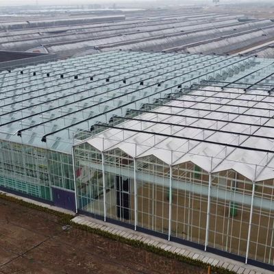 100.000kg Pacchetto Peso lordo Serra di vetro per la coltivazione idroponica di fiori