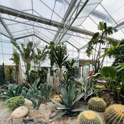 100.000kg Pacchetto Peso lordo Serra di vetro per la coltivazione idroponica di fiori