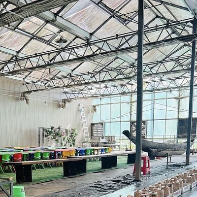 100.000kg Pacchetto Peso lordo Serra di vetro per la coltivazione idroponica di fiori