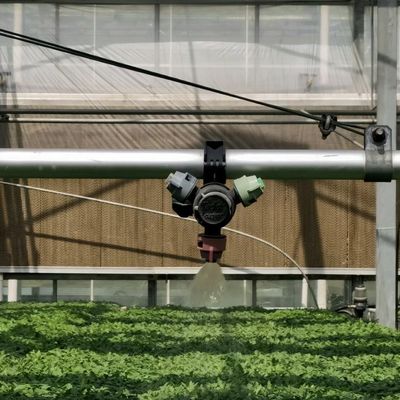 Serra in vetro idroponico a doppio strato per la coltivazione di fiori conveniente e durevole