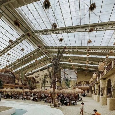 Serra in vetro con sistema idroponico copertura in vetro durevole e spedizione conveniente
