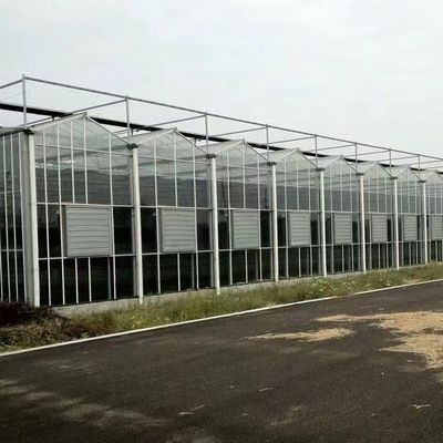 Dimensione del pacchetto serra in vetro da 50,00 cm * 60,00 cm * 80,00 cm per la coltivazione idroponica di fiori