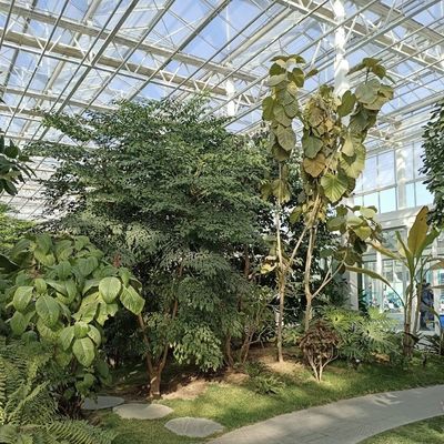 100.000kg di pacchetto Peso lordo Serra in vetro multi-span per la coltivazione di fiori