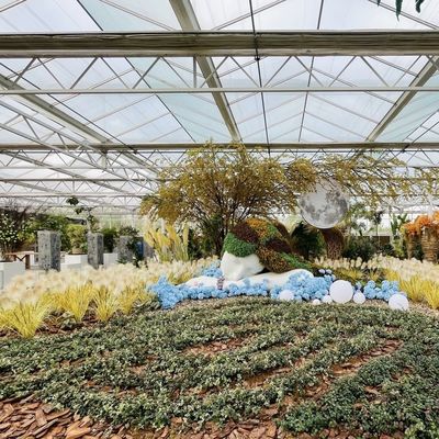 Serra di vetro su richiesta personalizzata con sistema di fiori e forma del tetto personalizzata