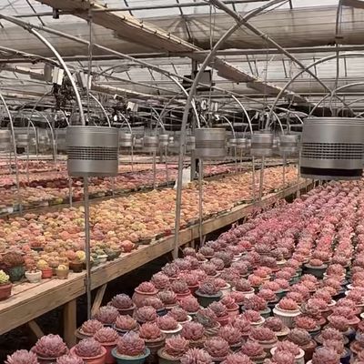 Sistema idroponico in serra di vetro per la coltivazione di fiori un tipo di tetto richiesta personalizzata