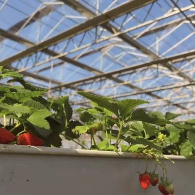 Sistema idroponico in serra di vetro per la coltivazione di fiori un tipo di tetto richiesta personalizzata