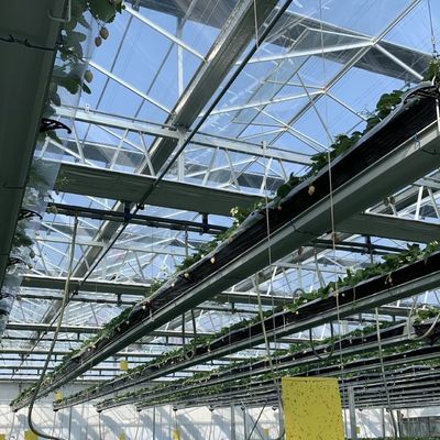 Sistema di fiore idroponico in struttura in acciaio Serra di vetro galleggiante con personalizzazione