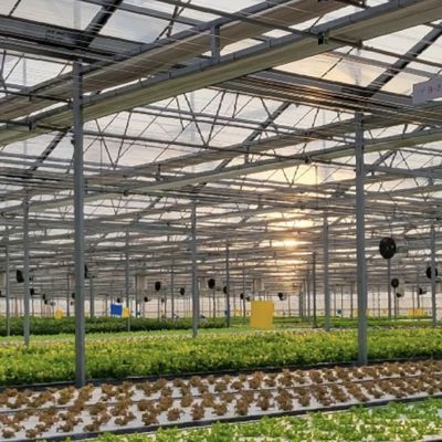 Serre commerciale idroponica su misura per la coltivazione e l'agricoltura dei fiori