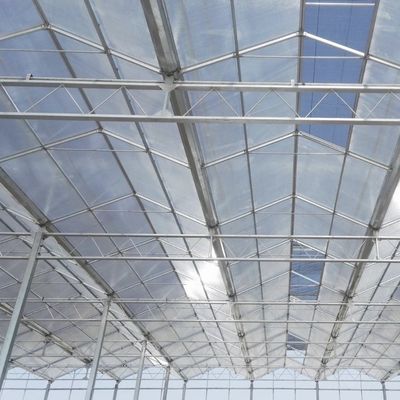 Serra in vetro a doppio strato a prezzi accessibili US 20/metro quadrato Sistema di fiore idroponico