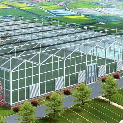 Serra in vetro a doppio strato a prezzi accessibili US 20/metro quadrato Sistema di fiore idroponico