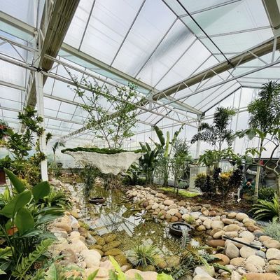 Copertura del tetto in forma di serra per la coltivazione di fiori in vetro
