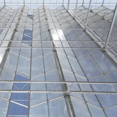 Serra con tetto di vetro per la coltivazione di fiori Pagamento iniziale e costi di spedizione convenienti