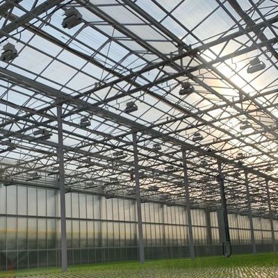 Installazione idroponica di vetro ad alta trasmissione luminosa per serre commerciale a pagamento completo