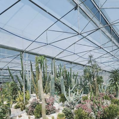 80.000kg Pacchetto Peso lordo Serra di vetro per irrigazione a goccia con verdura