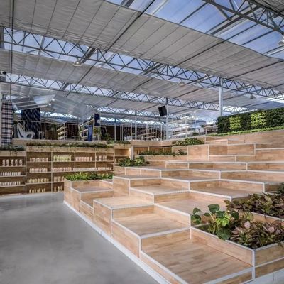 Serra in vetro galleggiante per verdure Multi Span Design richiesta personalizzata accettata